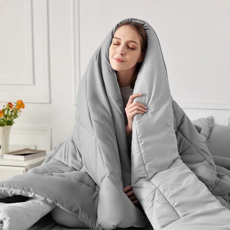 Arden Modern Plush Reversible Comforter Set