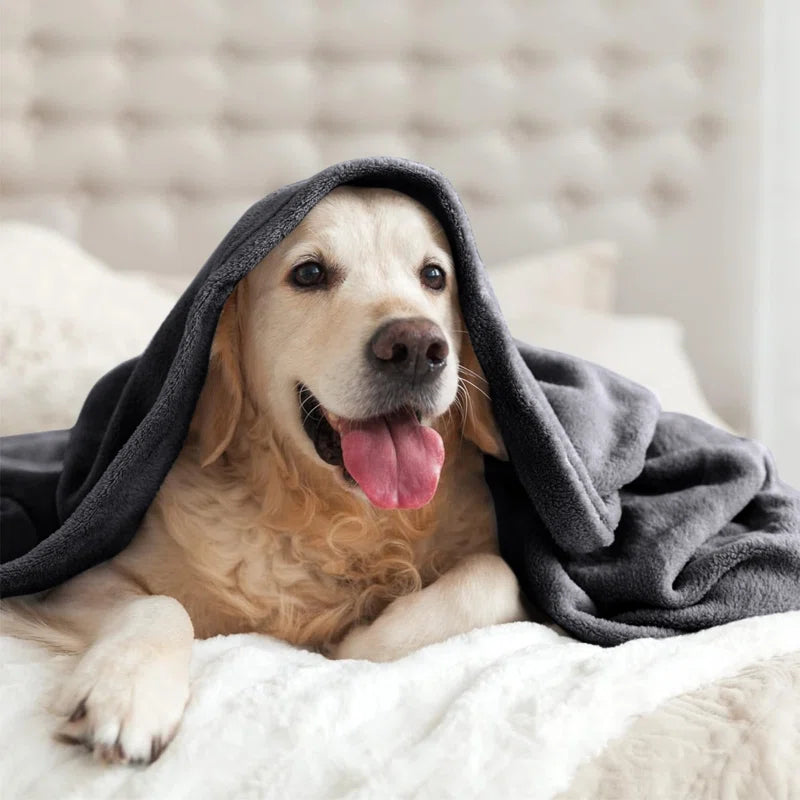 SoftNest Thick Plush Blanket