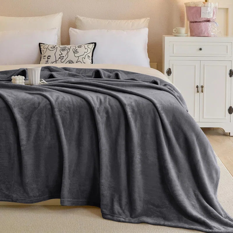 SoftNest Thick Plush Blanket