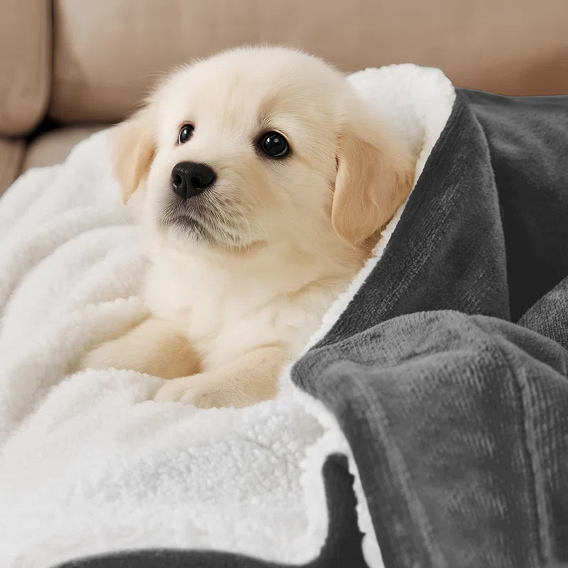 CozyCloud Reversible Plush Sherpa Blanket